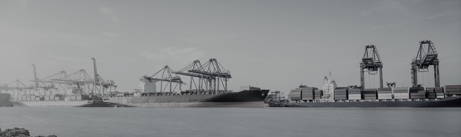 Case study image